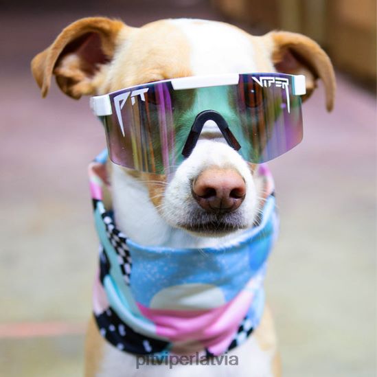 R8ZD60248 ziemeļu pludmales tūre kakla sildītājs Pit Viper