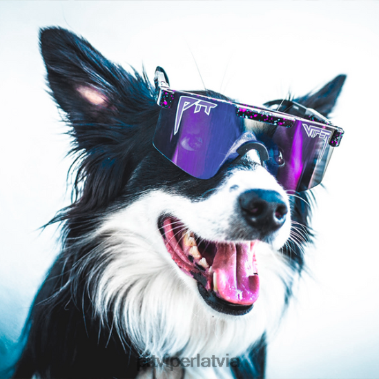 R8ZD60115 nakts rudens polarizētās saulesbrilles Pit Viper