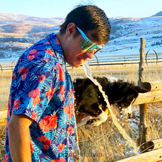 R8ZD60146 lielgabala lode polarizējās dubultplatumā Pit Viper