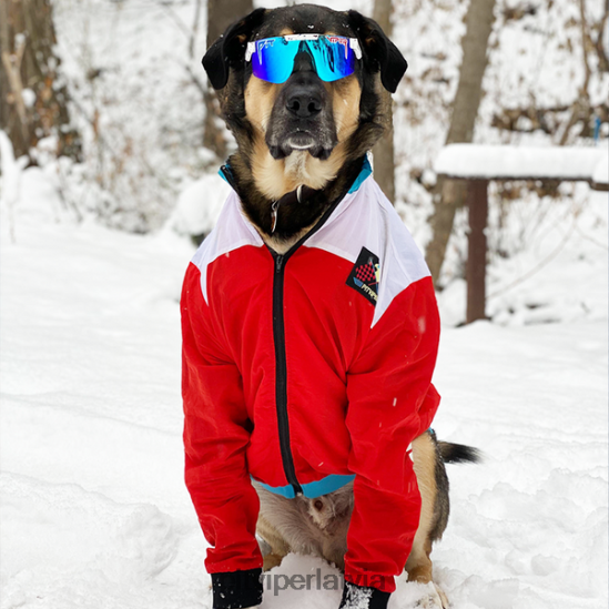 R8ZD60148 absolūtās brīvības polarizētās saulesbrilles Pit Viper