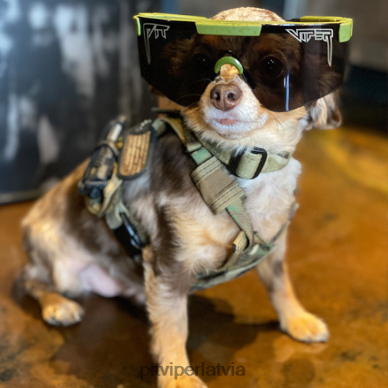 R8ZD60150 njp 2000. gadi Pit Viper