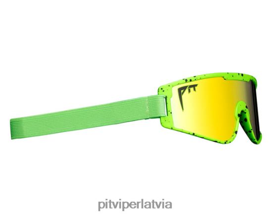 R8ZD60162 boomslang baby vipes Pit Viper