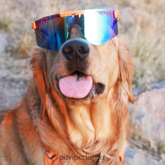 R8ZD6065 simpātiju polarizēja dubultplati Pit Viper