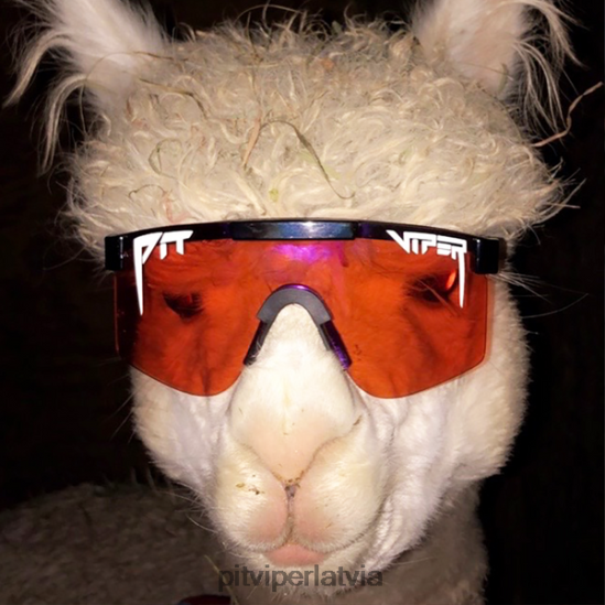 R8ZD6073 dubļu slaucītājs Pit Viper