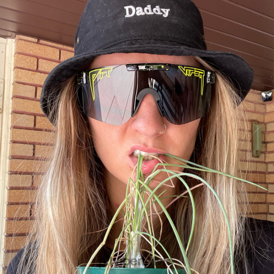 R8ZD6080 kosmoss Pit Viper