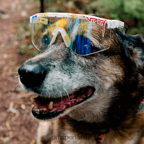 R8ZD6083 merika nakts toņu dubultās platās saulesbrilles Pit Viper