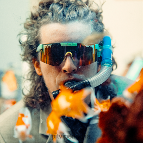 R8ZD6085 rotaļu biedrs polarizēja 2000.gadus Pit Viper