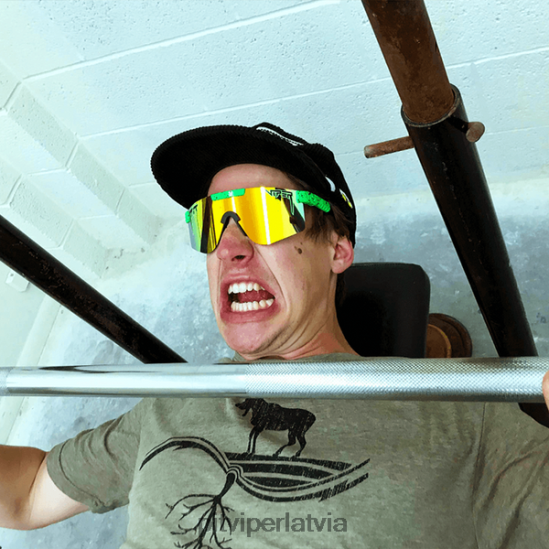 R8ZD6094 bumslangs polarizēts dubultplatumā Pit Viper